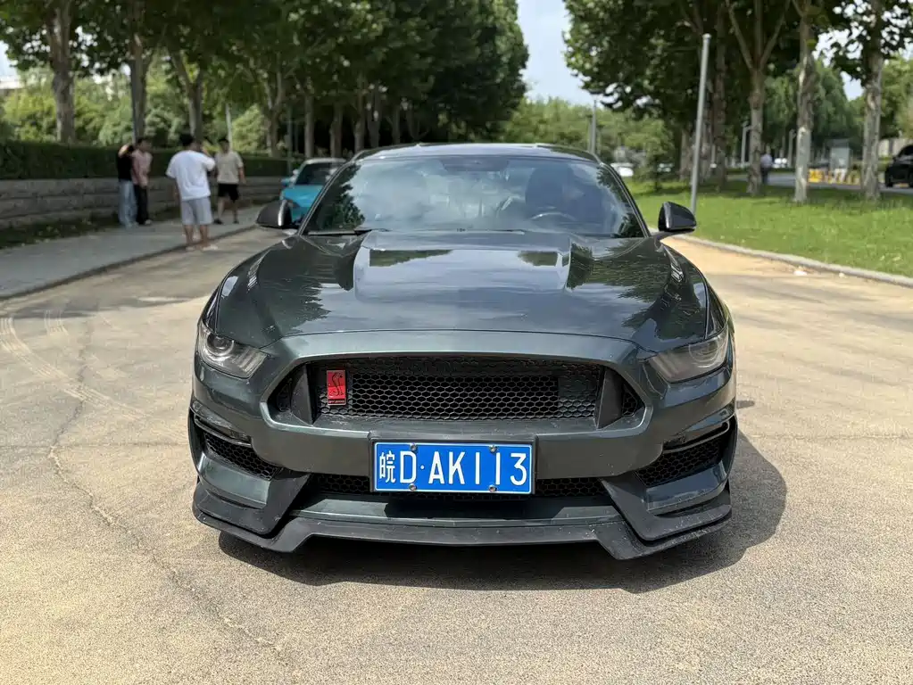 Ford Mustang — миниатюра 2