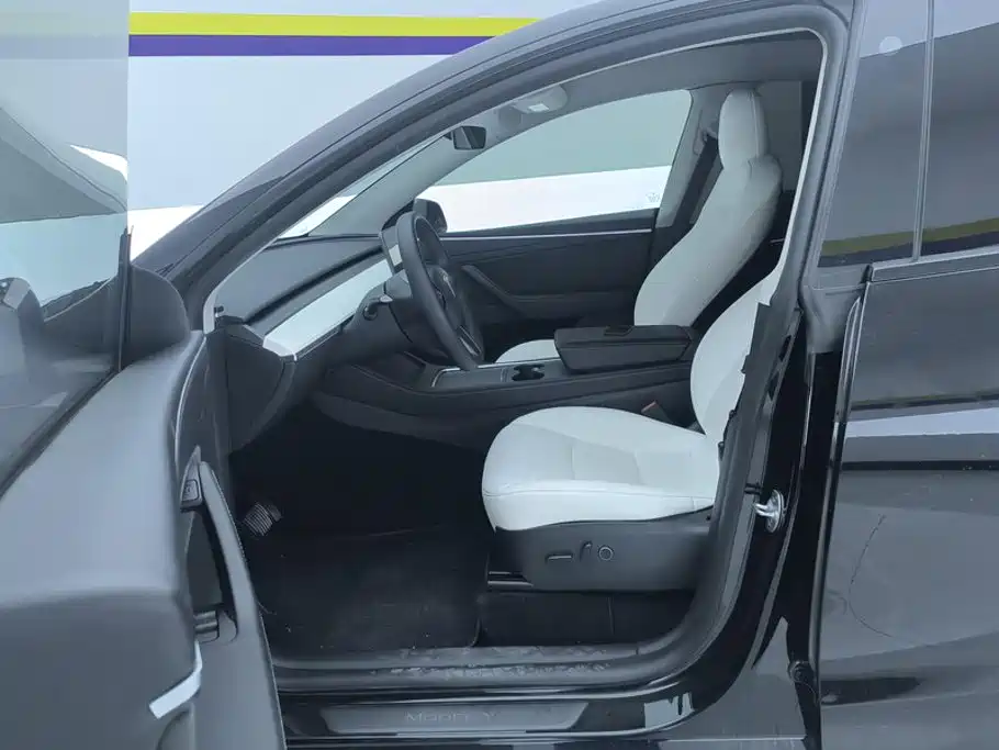 Tesla Model Y — миниатюра 9