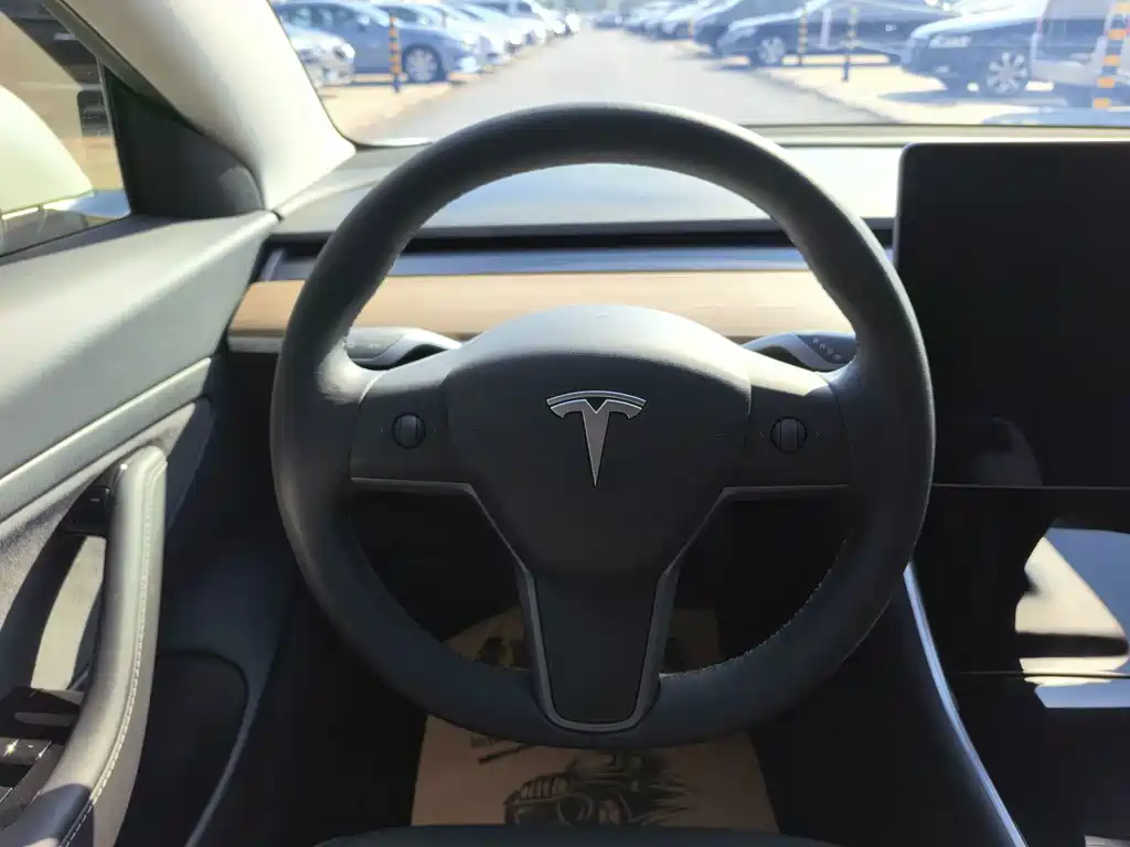 Tesla Model 3 — миниатюра 12