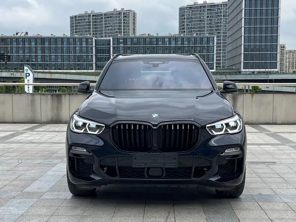 BMW X5 (Import) — миниатюра 2