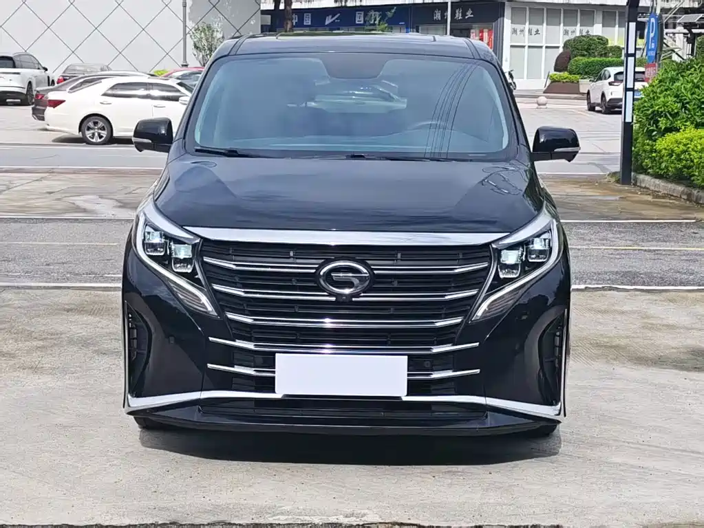 GAC Motor Trumpchi M8 — миниатюра 2