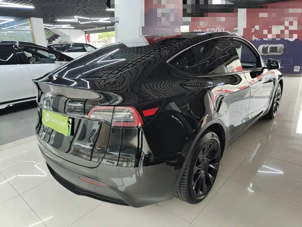 Tesla Model Y — миниатюра 7