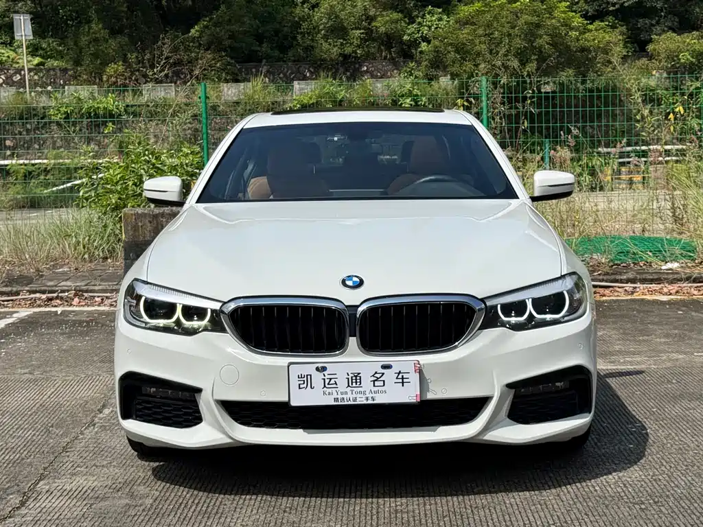 BMW 5 Series (Import)