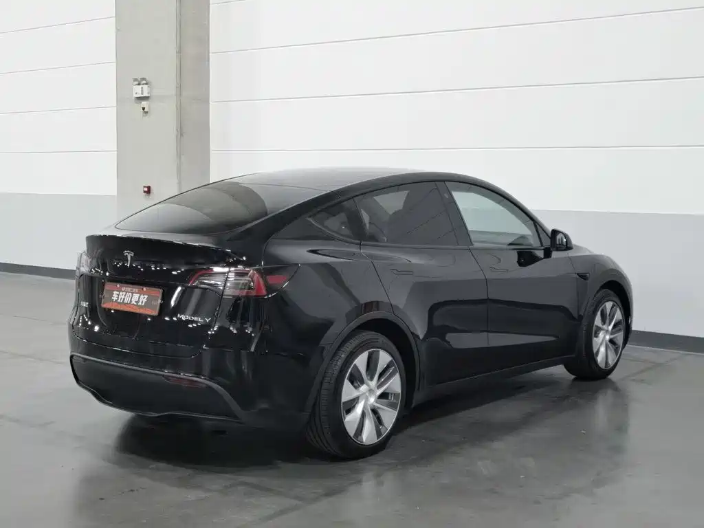 Tesla Model Y — миниатюра 2
