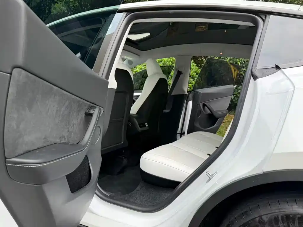 Tesla Model Y — миниатюра 7