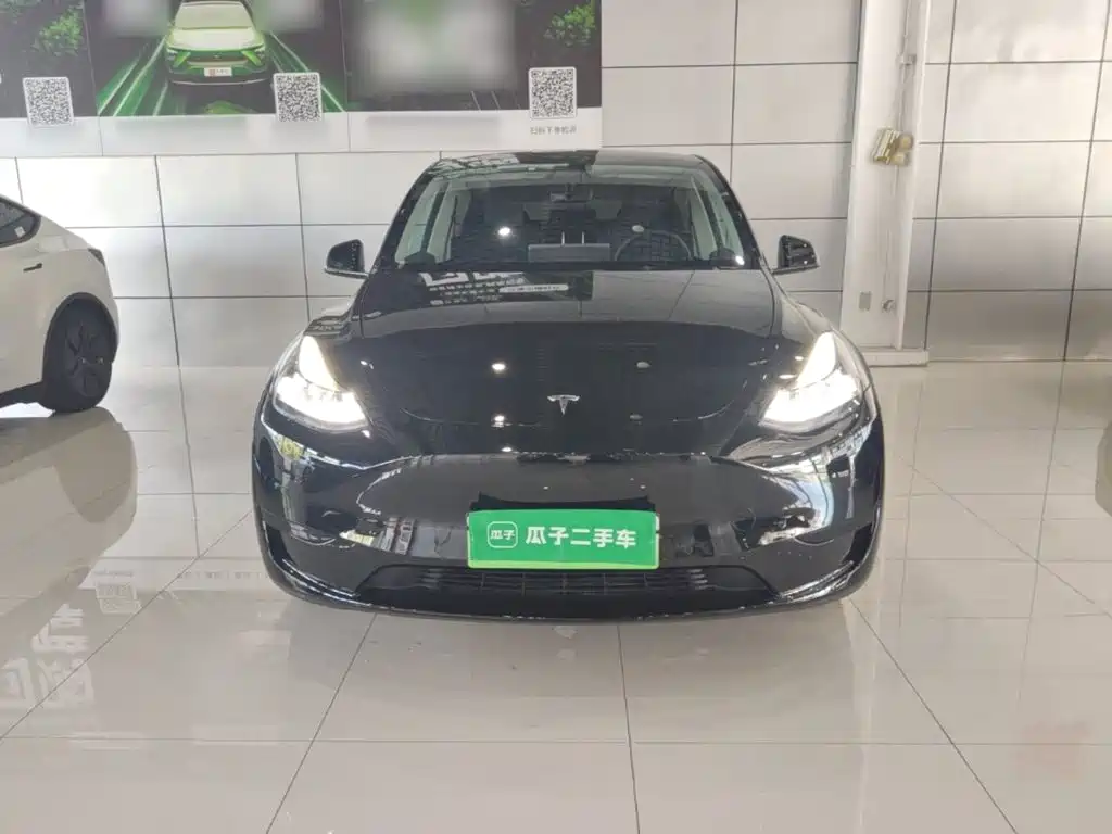 Tesla Model Y — миниатюра 3
