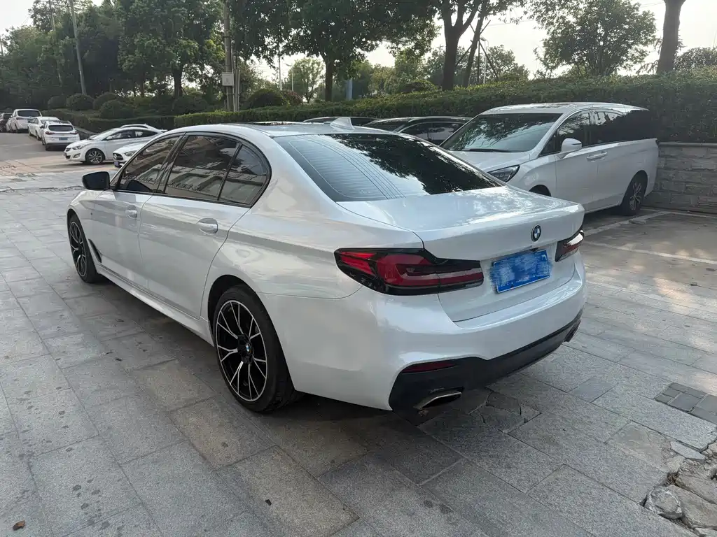 BMW 5 Series 530Li Premium Type M Sport Package, фото 4