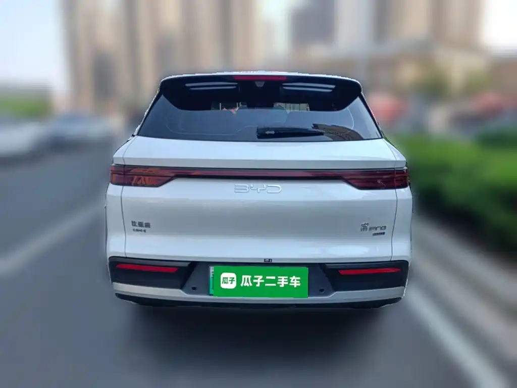 BYD Pro New Energy — миниатюра 3