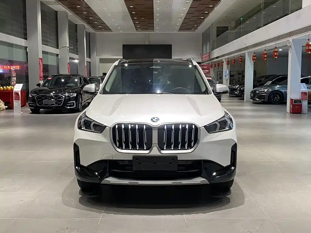 BMW X1 — миниатюра 2