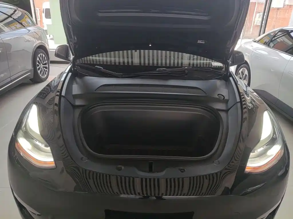 Tesla Model Y — миниатюра 20
