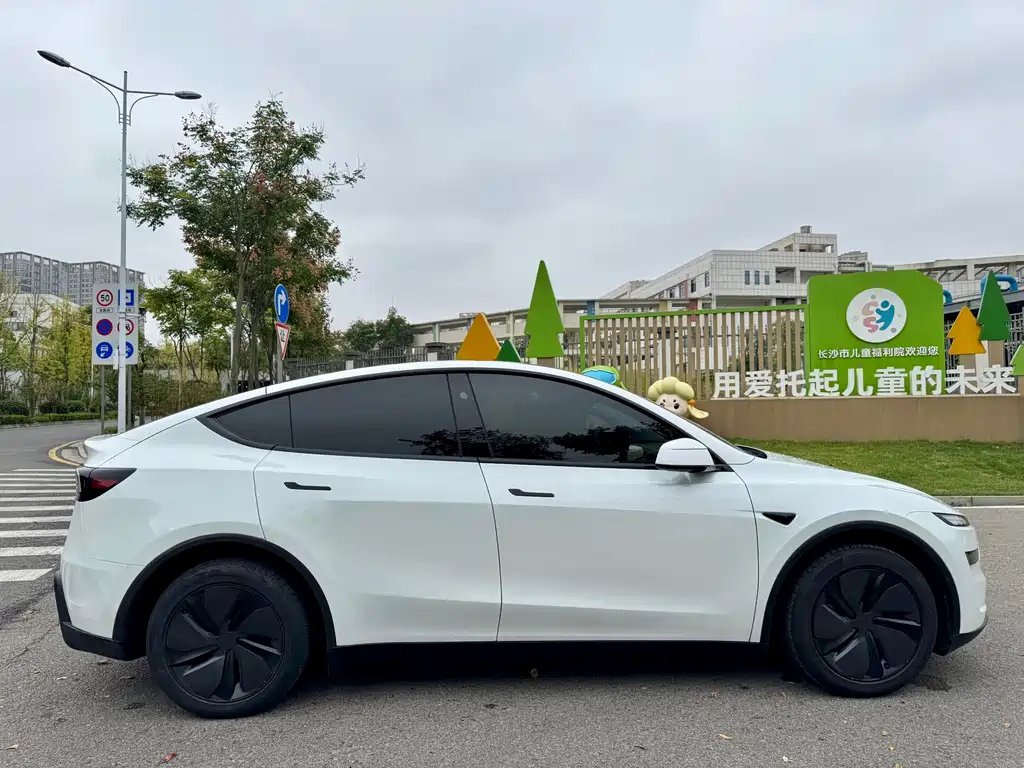 Tesla Model Y — миниатюра 18