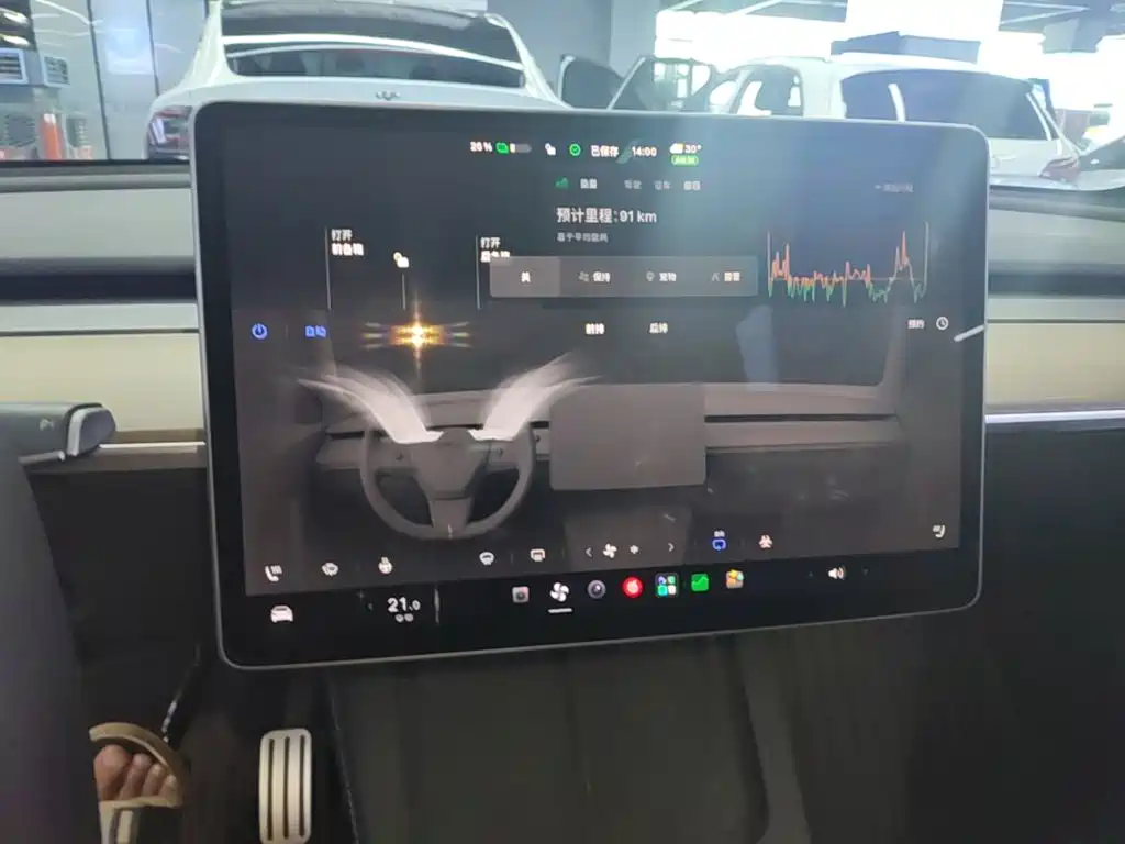 Tesla Model Y — миниатюра 13
