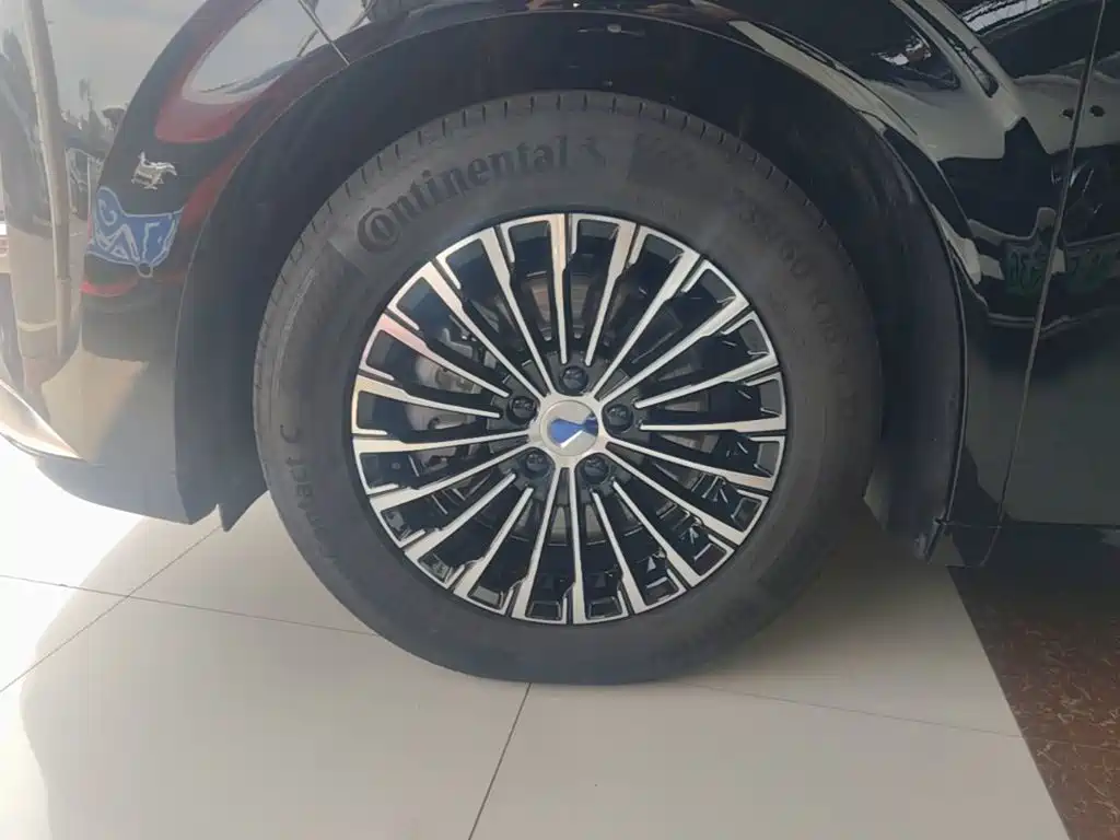 Denza Denza D9 — миниатюра 23