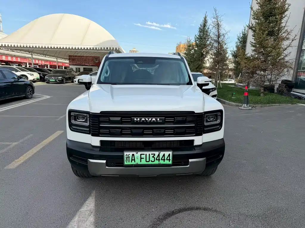 Haval Menglong New Energy — миниатюра 2