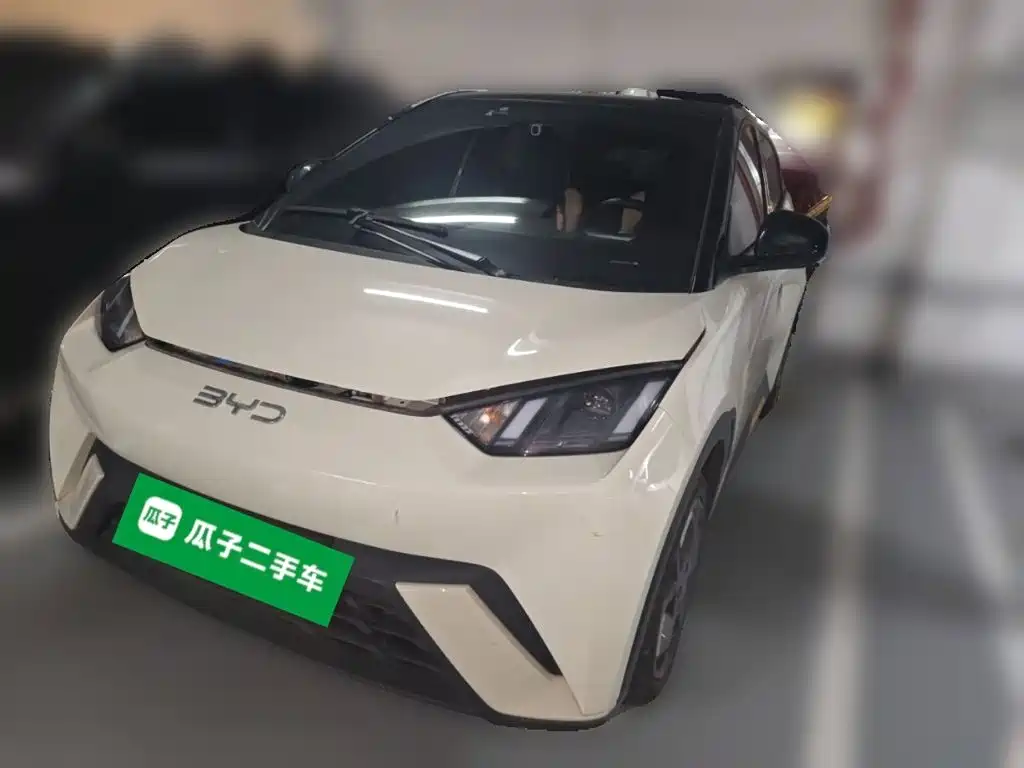 BYD Seagull