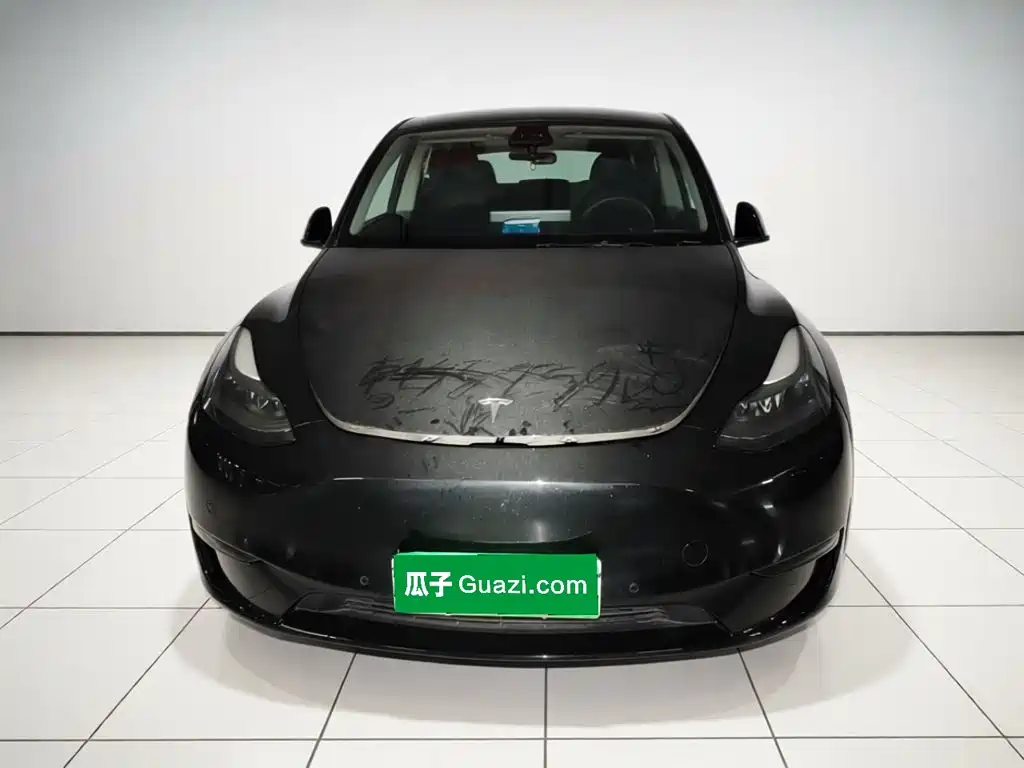 Tesla Model Y — миниатюра 2