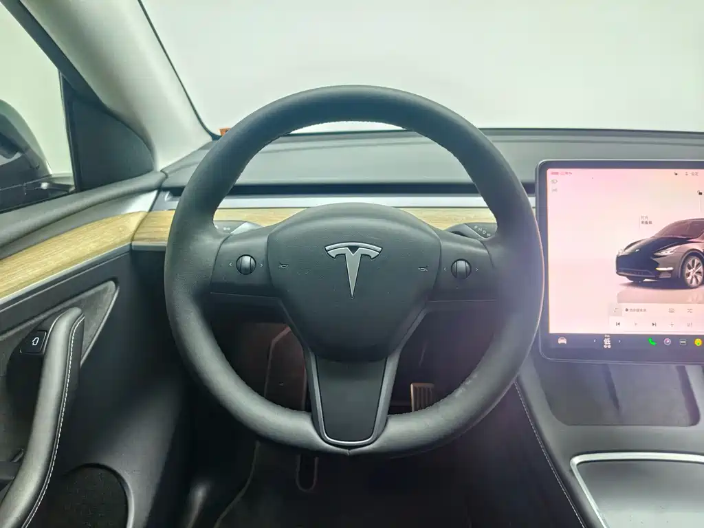 Tesla Model Y — миниатюра 14