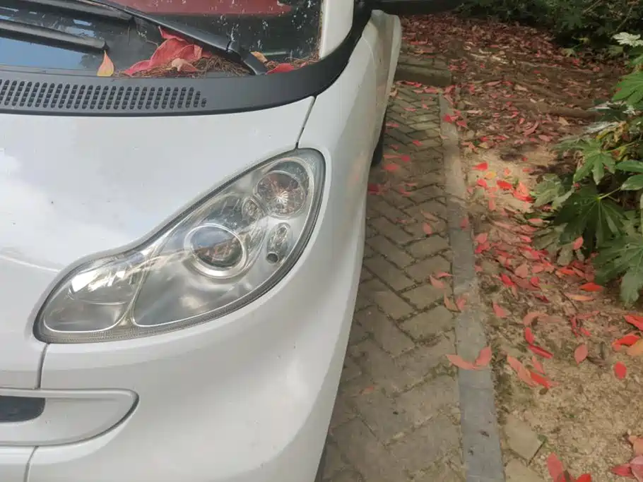 smart Smart Fortwo — миниатюра 5