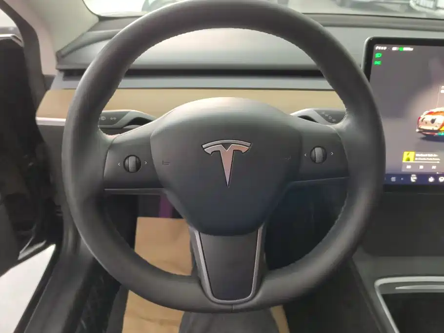 Tesla Model 3 — миниатюра 15