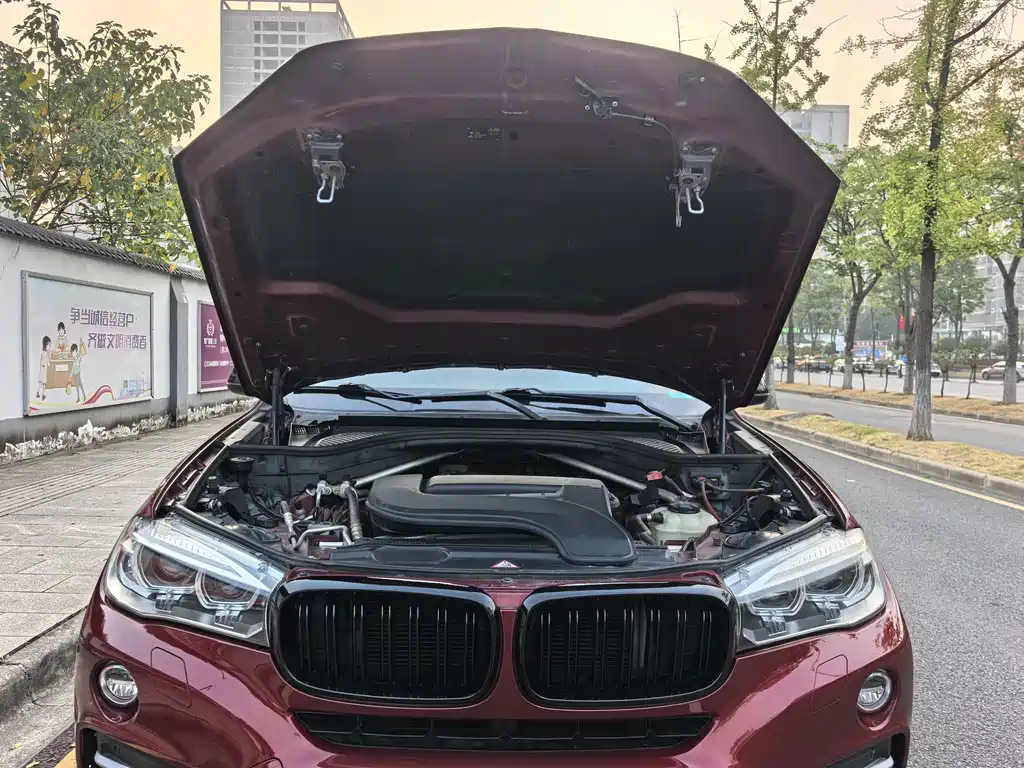 BMW X6 — миниатюра 14