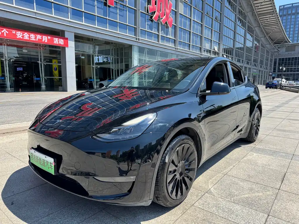 Tesla Model Y 2021 Long Range AWD Edition
