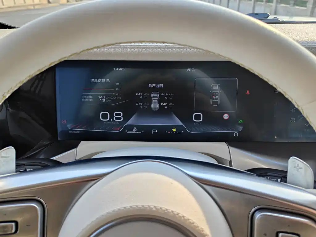 TANK CO CREATION TANK 300