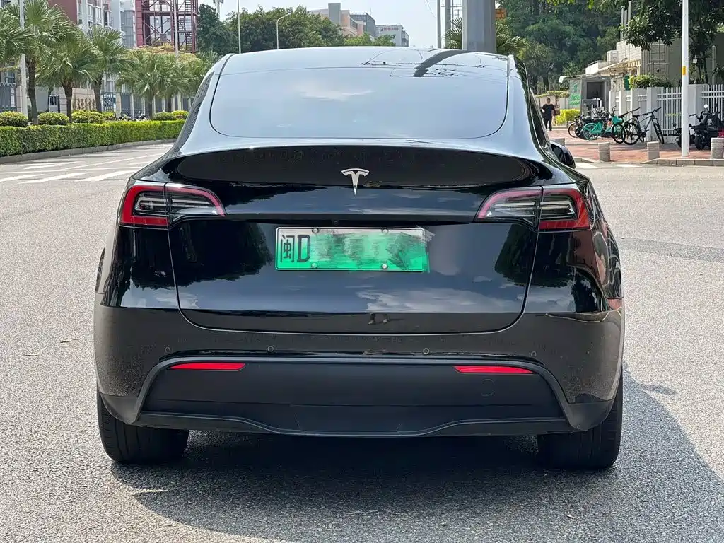 Tesla Model Y — миниатюра 6