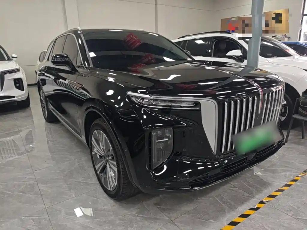 Hongqi Hongqi E-HS9 — миниатюра 4