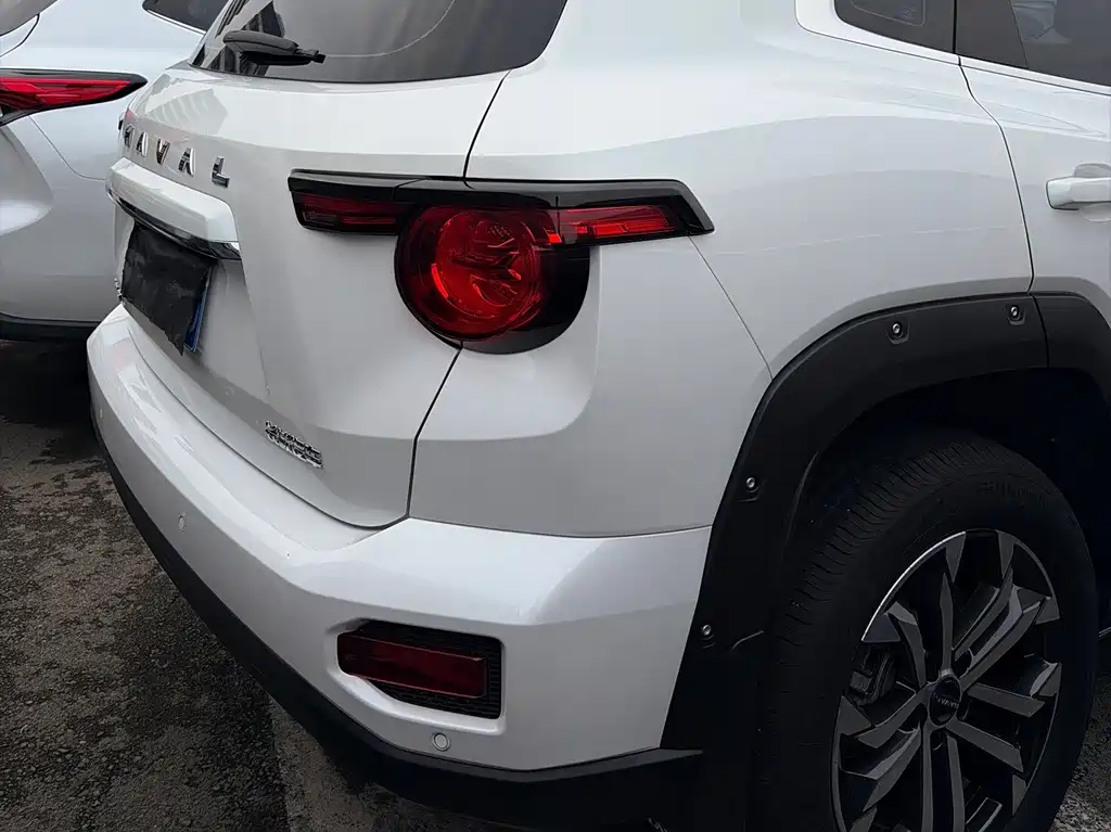 Haval Big Dog PLUS — миниатюра 7