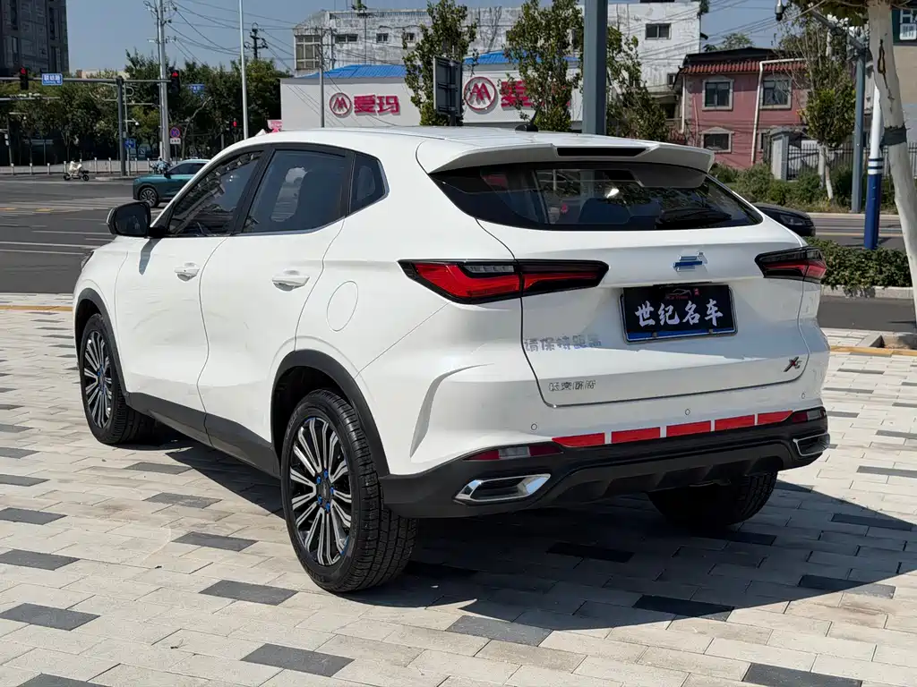 Oshan Oushang X5 — миниатюра 9