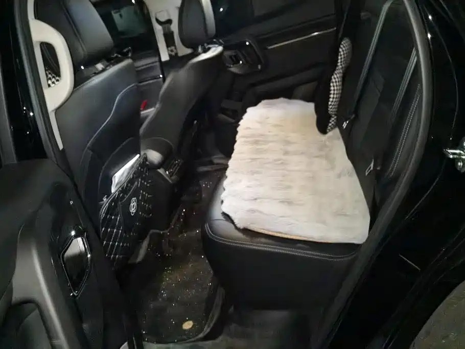 Haval Big Dog PLUS — миниатюра 11