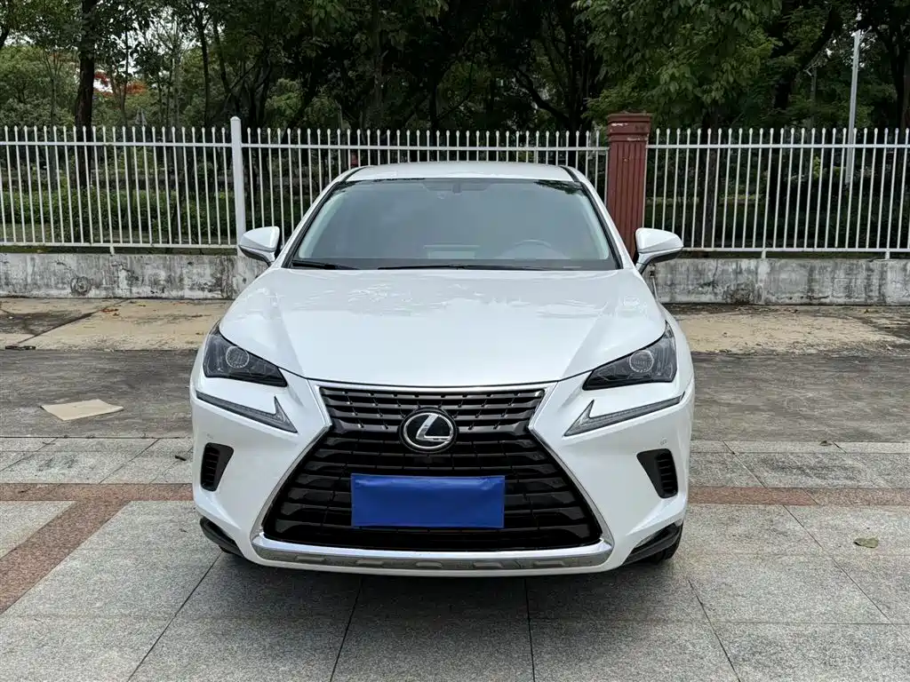 Lexus NX 2020 200 V