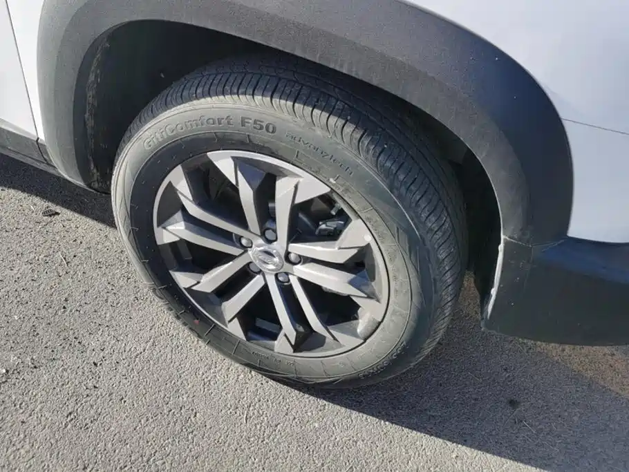 Haval Big Dog — миниатюра 6