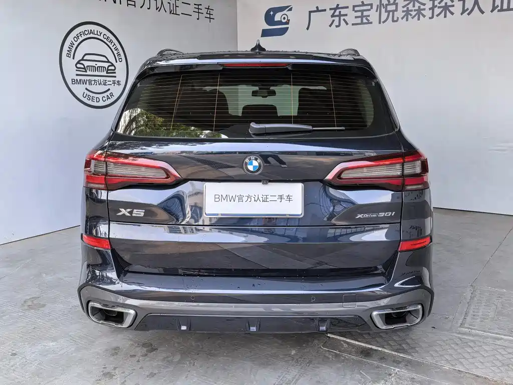 BMW X5 2021 xDrive30i M Sport