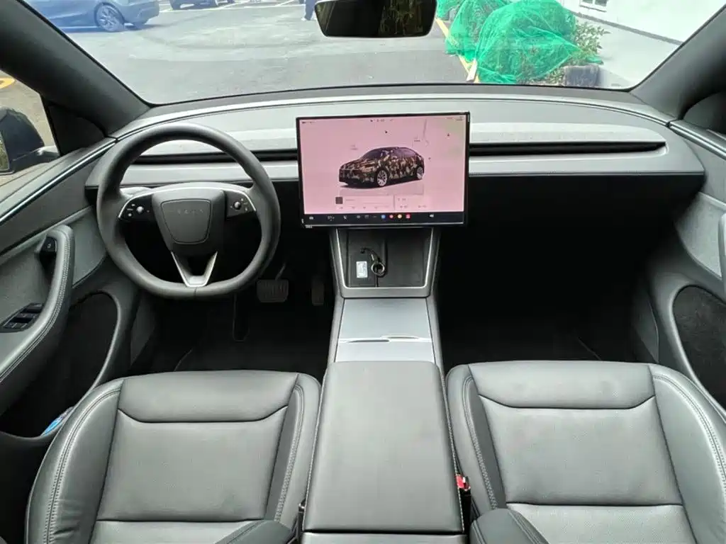 Tesla Model Y — миниатюра 3
