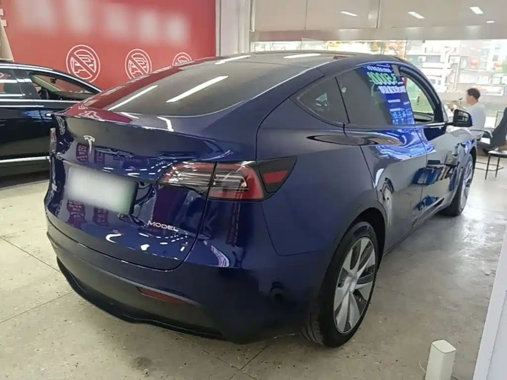 Tesla Model Y — миниатюра 7