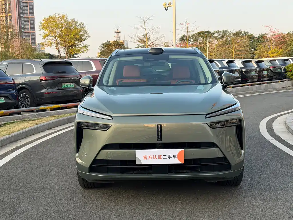 WEI PAI WEI BRAND BLUE MOUNTAIN