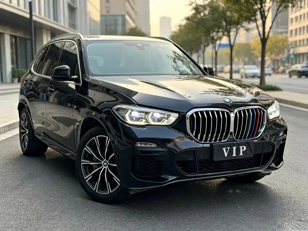 BMW X5 (Import) — миниатюра 3
