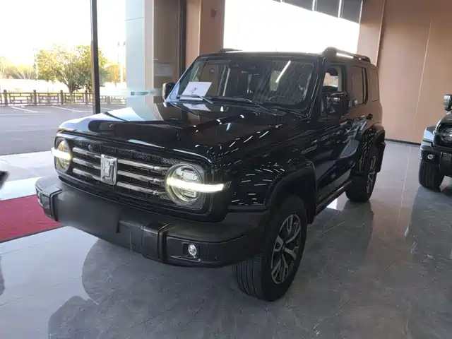 2022 TANK 300