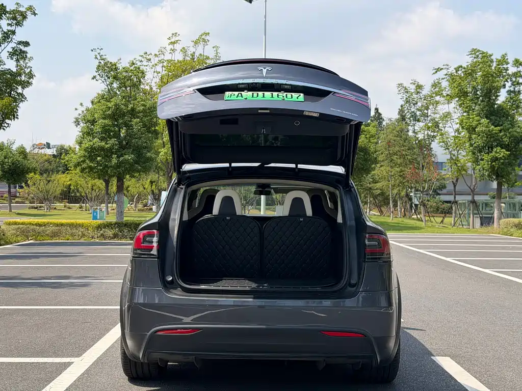 Tesla Model X — миниатюра 13