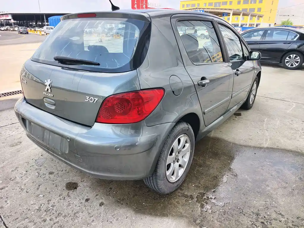 Peugeot 307 — миниатюра 7
