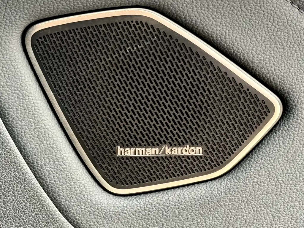 Volkswagen Talagon — миниатюра 31