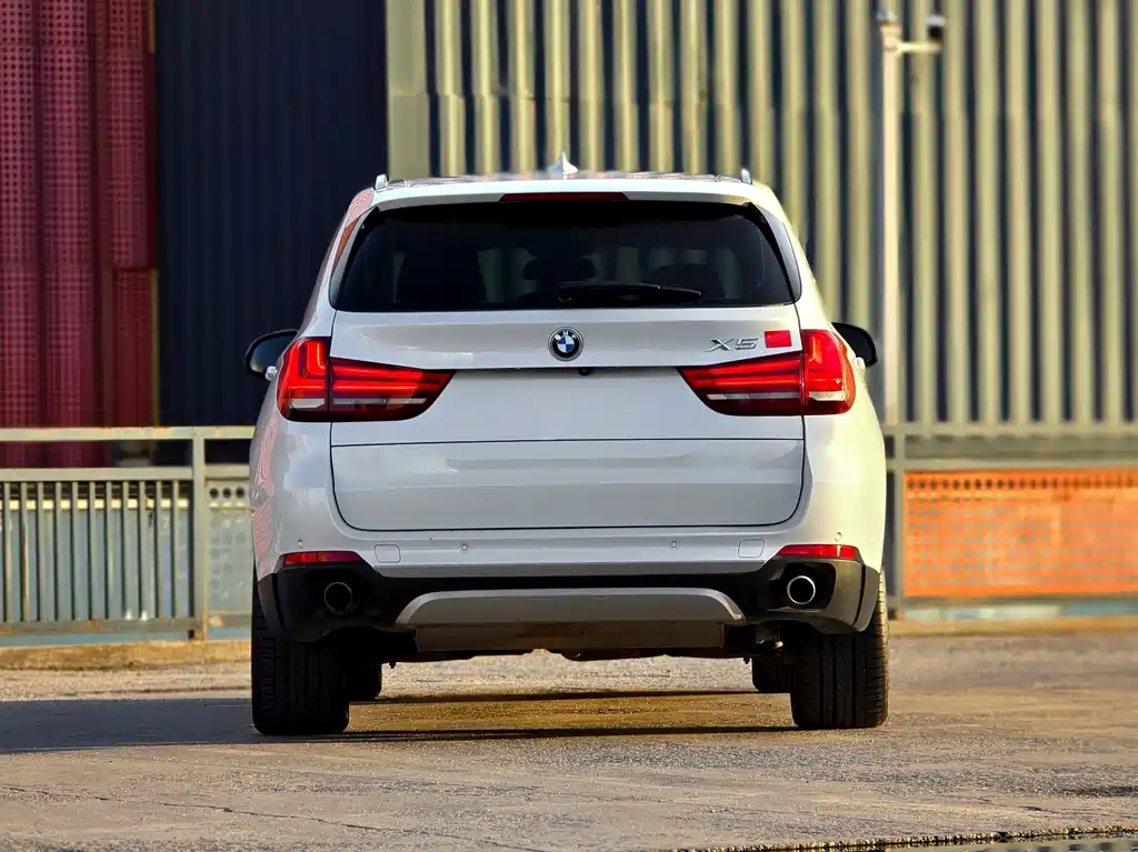 BMW X5 (Import) — миниатюра 5