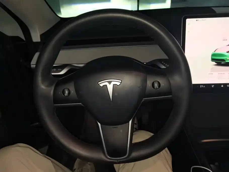 Tesla Model Y — миниатюра 15
