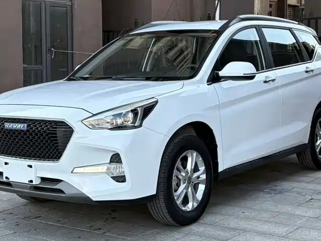 2018 Haval M6