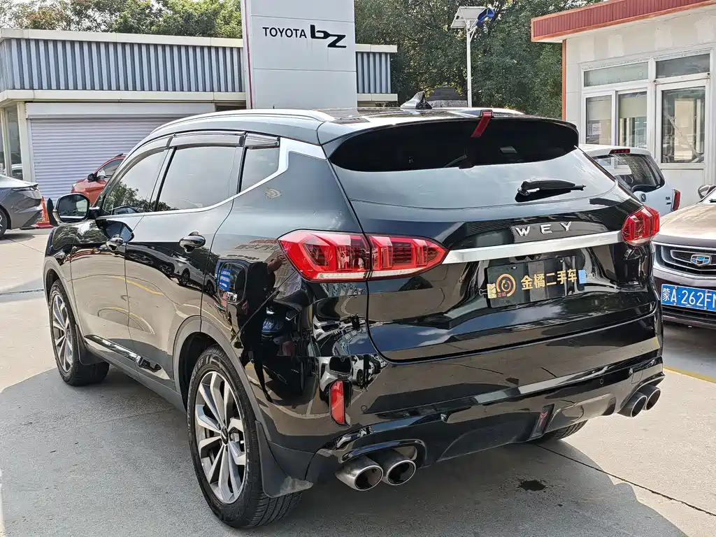 Wey Wey VV6 — миниатюра 2