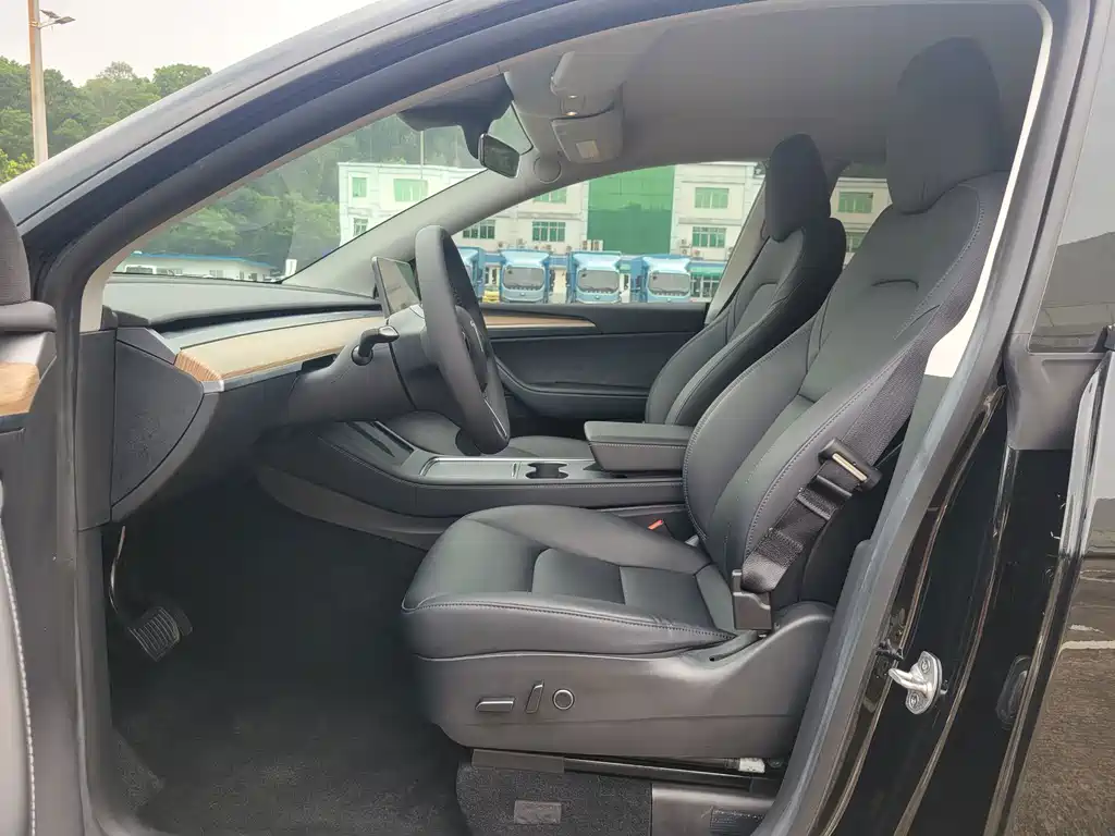 Tesla Model Y — миниатюра 9