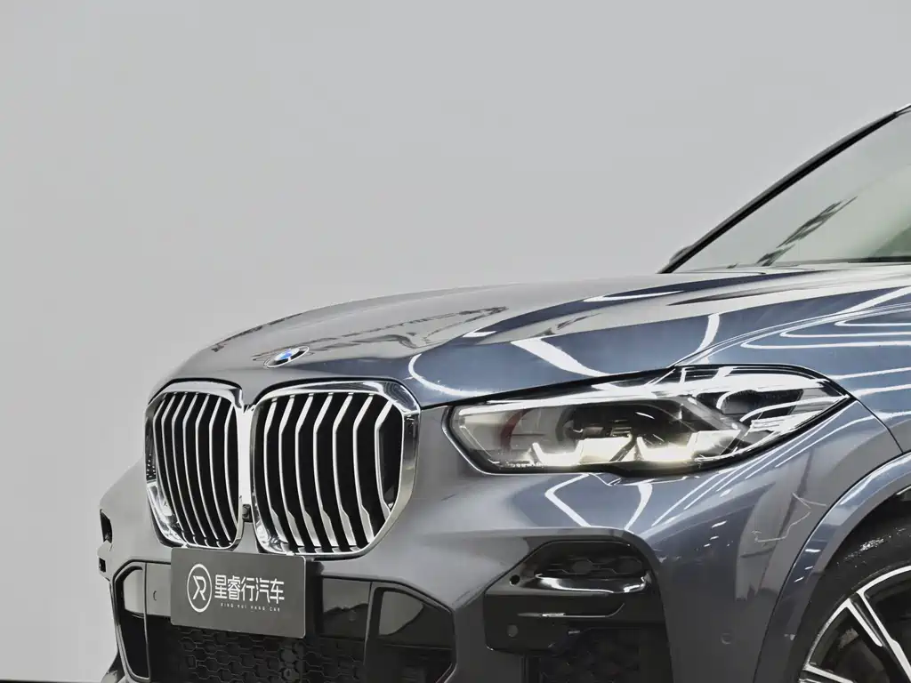 BMW X5 (Import) — миниатюра 24