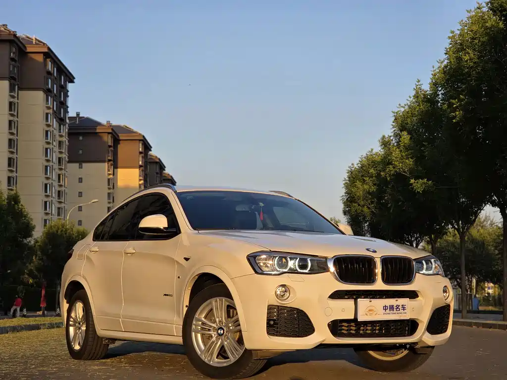 BMW X4 — миниатюра 3