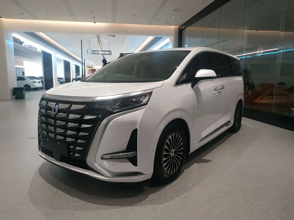 Denza Denza D9